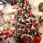 IMG_0505 IMG_0505