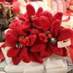 IMG_0507 IMG_0507
