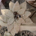IMG_0509 IMG_0509