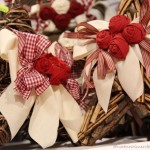 IMG_0516 IMG_0516