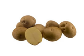 hermes patata